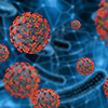 virus
